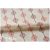 Pine twig on offwhite
