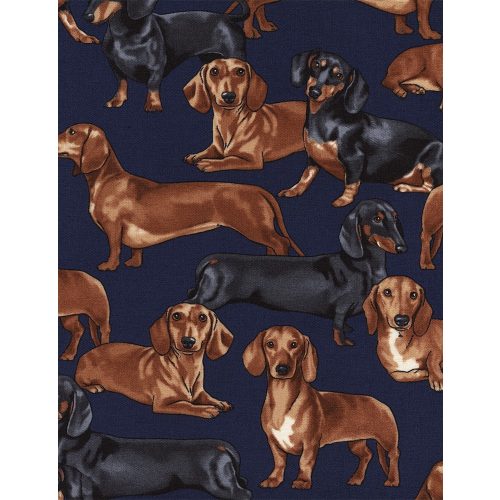Pure Bred Dachshunds Navy
