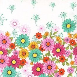 Doodle daisy double border Garden